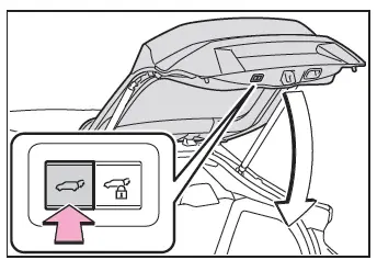 Toyota C-HR. Porte de coffre