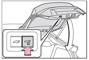 Toyota C-HR. Porte de coffre